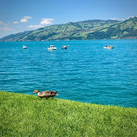 Eiger, Jungfrau, Luxury Garden アパート グリンデルヴァルト