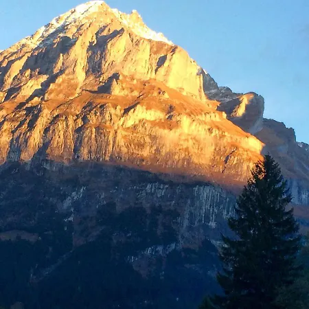 公寓 Eiger, Jungfrau, Luxury Garden 格林德瓦