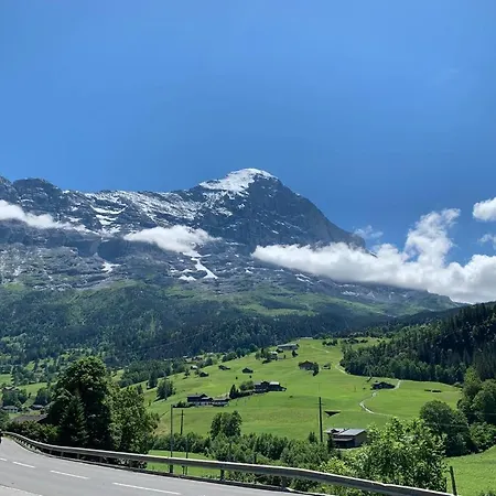 公寓 Eiger, Jungfrau, Luxury Garden *