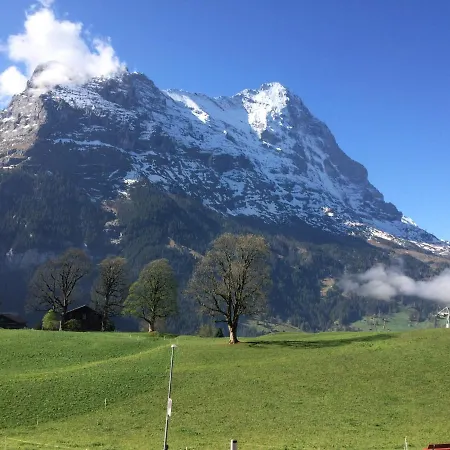 Eiger, Jungfrau, Luxury Garden * 格林德瓦