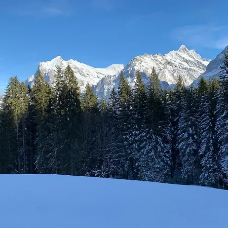 Eiger, Jungfrau, Luxury Garden 格林德瓦
