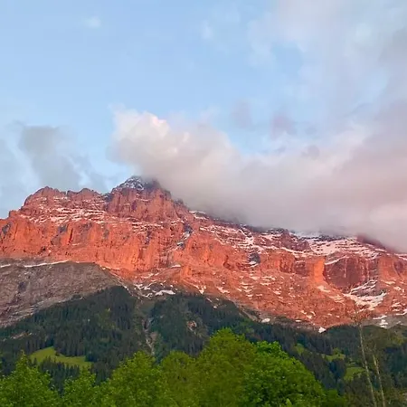公寓 Eiger, Jungfrau, Luxury Garden