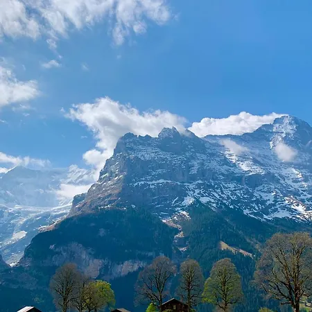 Eiger, Jungfrau, Luxury Garden 公寓 格林德瓦