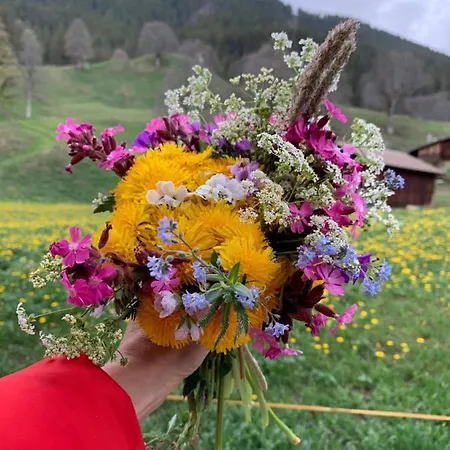 Eiger, Jungfrau, Luxury Garden *