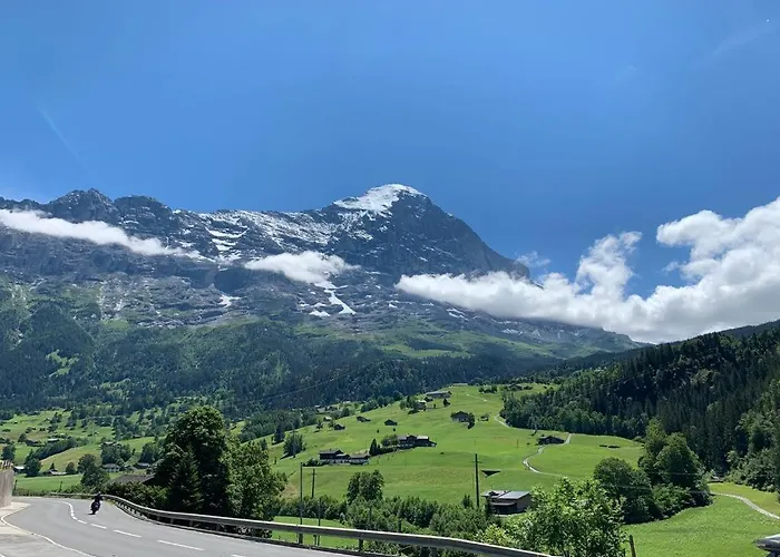 Apartment Eiger, Jungfrau, Luxury Garden *