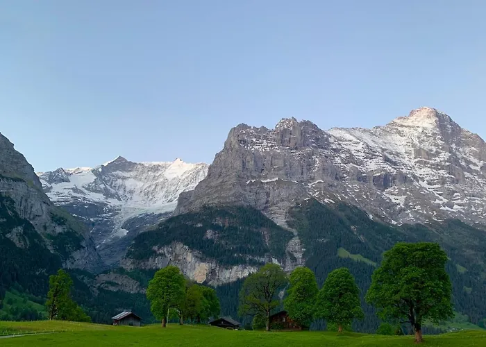 Apartment Eiger, Jungfrau, Luxury Garden Grindelwald