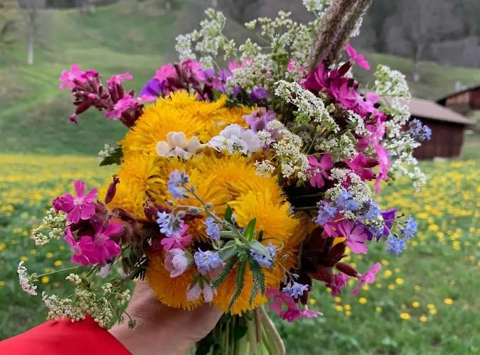 Eiger, Jungfrau, Luxury Garden *