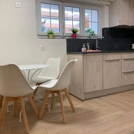 Apartment Eiger, Jungfrau, Luxury Garden Grindelwald