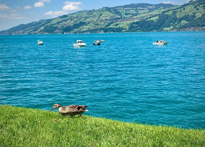 Eiger, Jungfrau, Luxury Garden Апартаменты Гриндельвальд